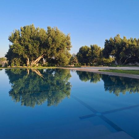 Villa Coriandre Essaouira Bagian luar foto